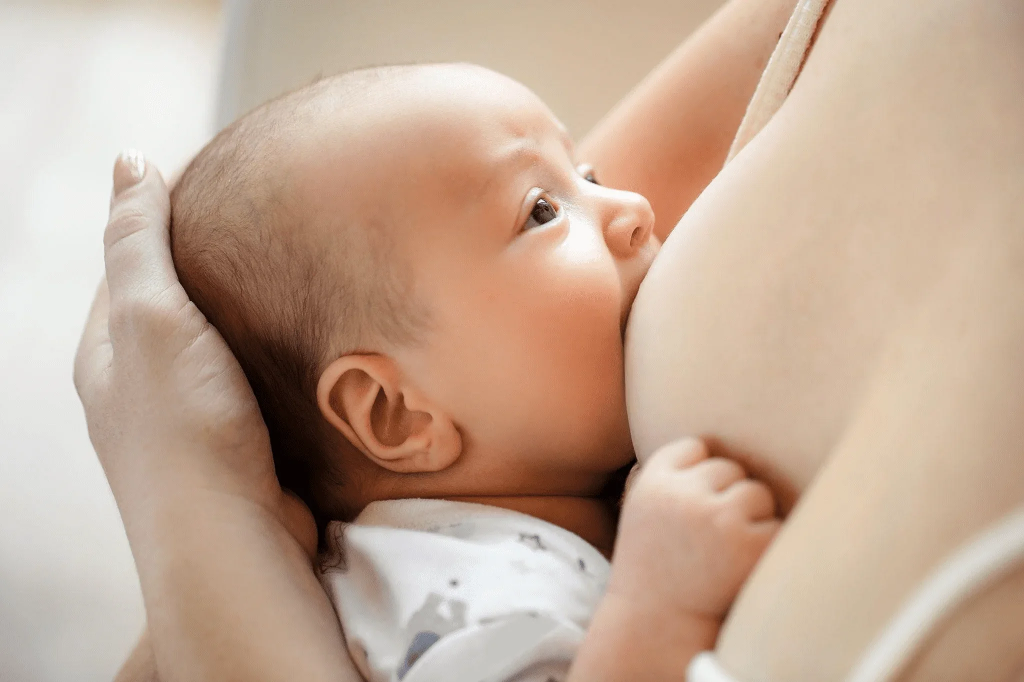 Ăn gì lợi sữa sau sinh? Top 10+ thực phẩm giúp sữa mẹ căng tràn￼